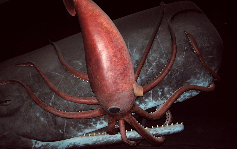 Amnh fg06-Giant Squid and Sperm Whale.jpg