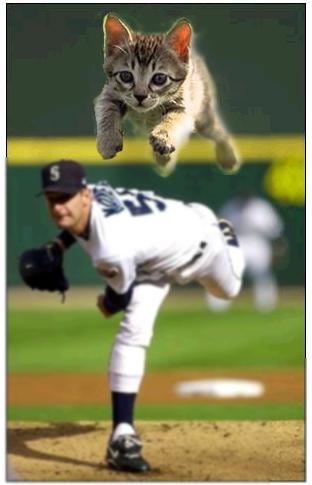 cat pitcher.jpg