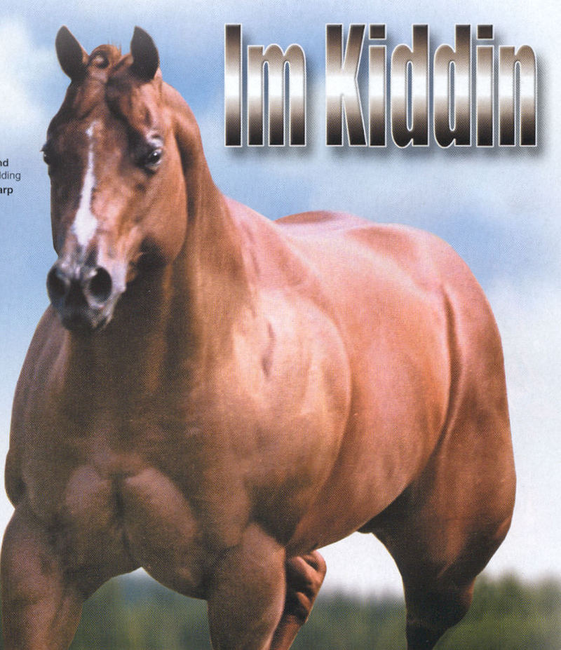 Horse-double-muscled.jpg