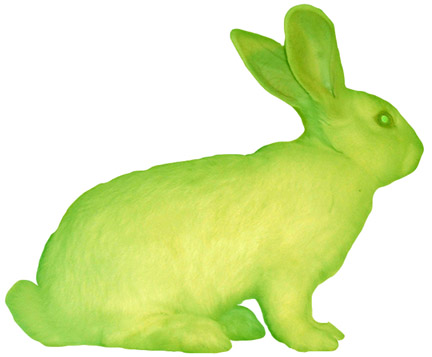 Alba, Green Fluorescent Bunny.jpg