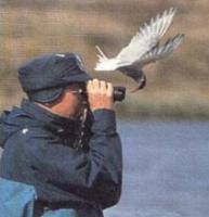 A bird flys by as a keen bird watcher misses the point.jpg