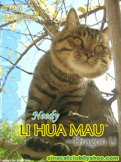 Needy treereduced copy.jpg