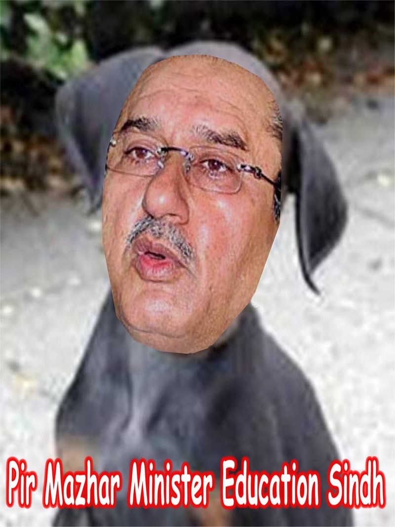 Pir Mazhar Education Minister, Sindh.jpg