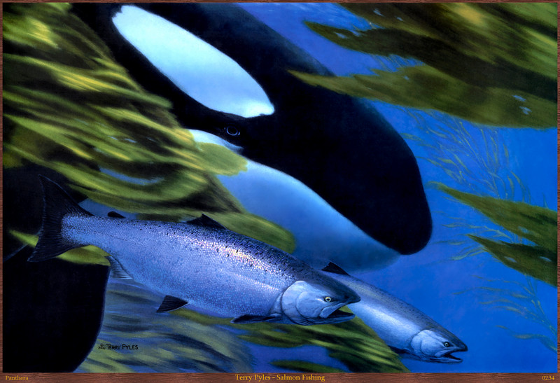 Panthera 0234 Terry Pyles Salmon Fishing.jpg