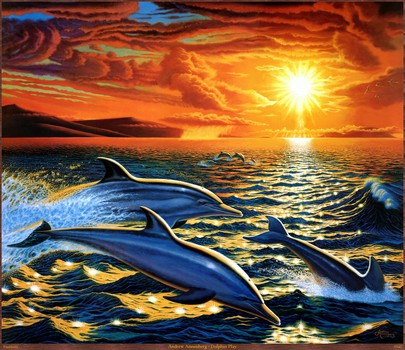 Panthera 0342 Andrew Annenberg Dolphin Dream.jpg