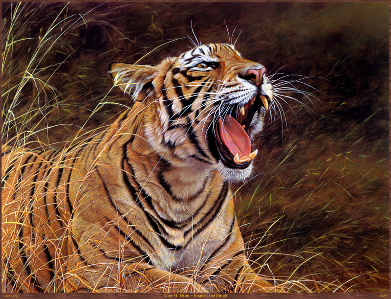 Panthera 0397 Alan M. Hunt Roar of the Jungle.jpg