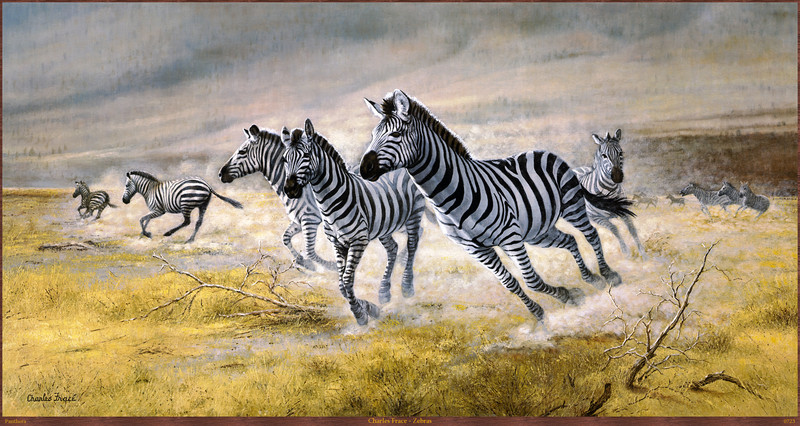 Panthera 0723 Charles Frace Zebras.jpg