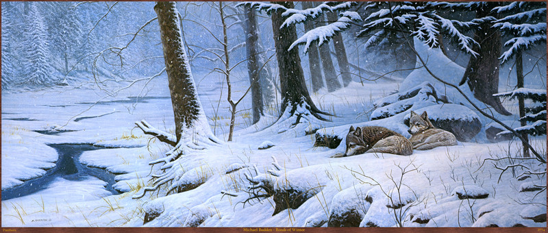 Panthera 0774 Michael Budden Bonds of Winter.jpg