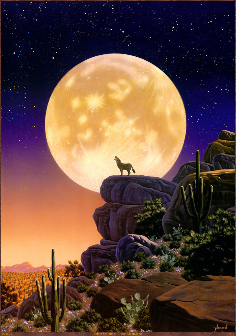 Panthera 0844 Schim Schimmel Desert Moon Song.jpg