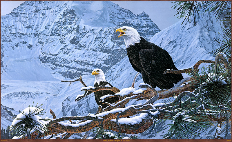 Panthera 0873 Ron S. Parker Eagles in the Pine.jpg