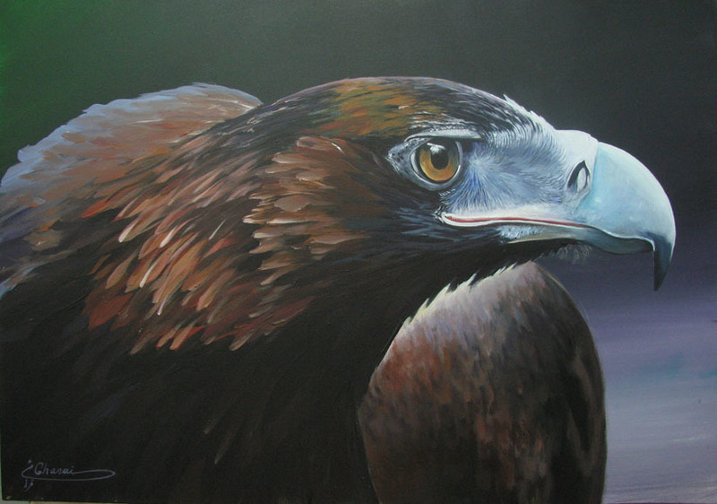 Eagle 2 , Acrylik.jpg
