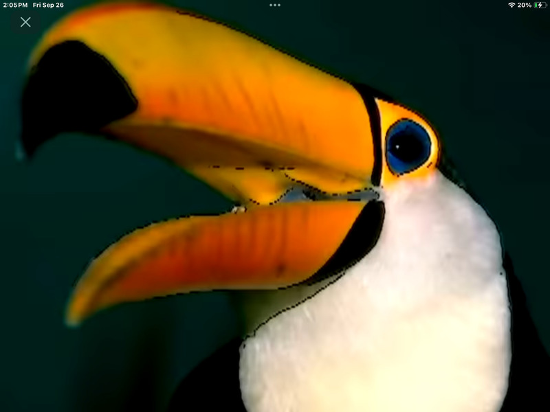 IMG 1387.png