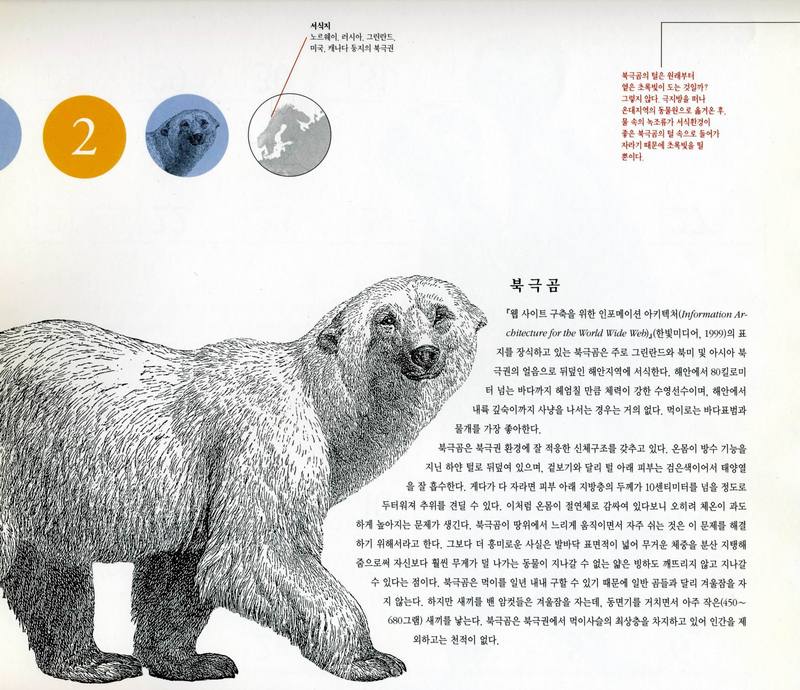 Hanbit Media-O\'Reilly Calendar 2001-02 Polar Bear.jpg