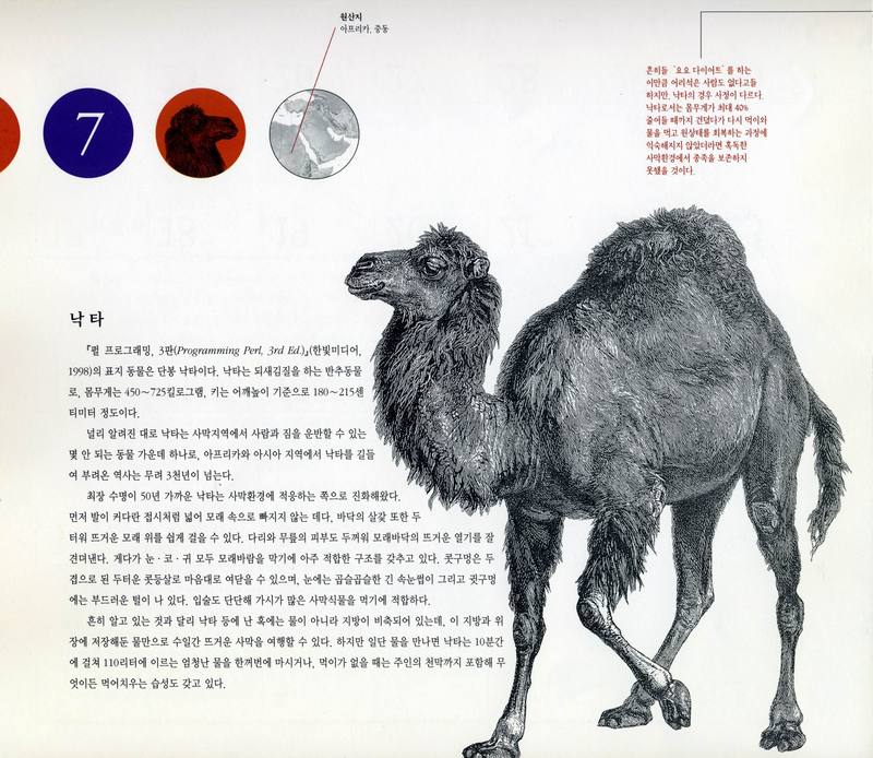 Hanbit Media-O\'Reilly Calendar 2001-07 Dromedary Camel.jpg