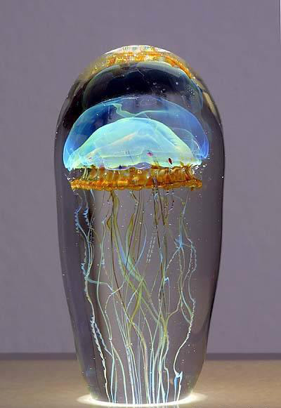 Jellyfish illumination.jpg