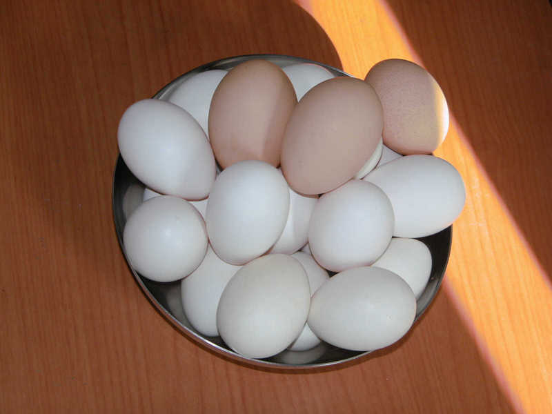 흰달걀.jpg