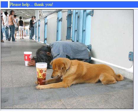 begging dog.jpg