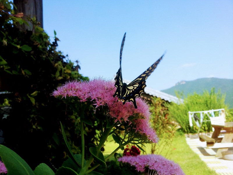 20130919 145751.jpg