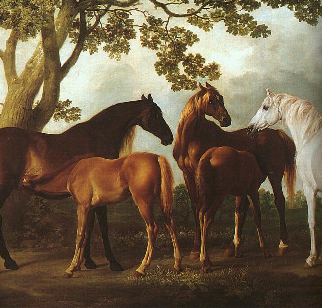 Mares And Foals In A Landscape.jpg