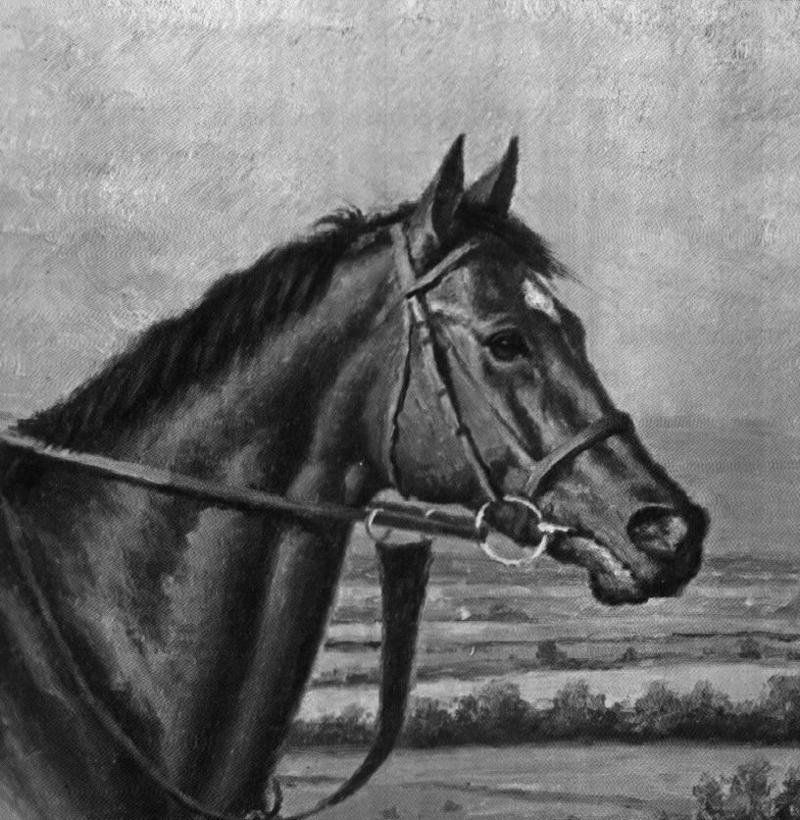 Racing Horse-Nijinsky-B n W-Art.jpg