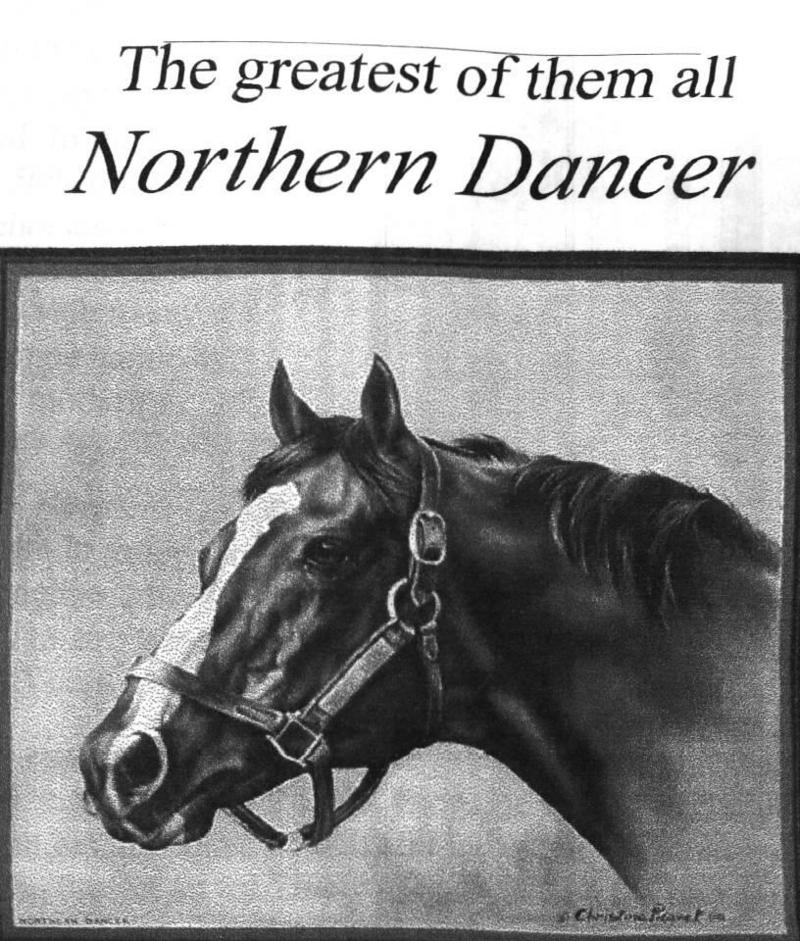Racing Horse-Northern Dancer2-B n W-Art.jpg