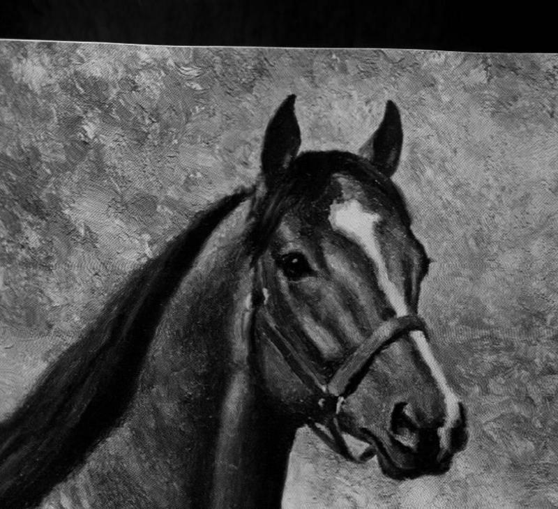 Racing Horse-Northern Dancer-B n W-Art.jpg