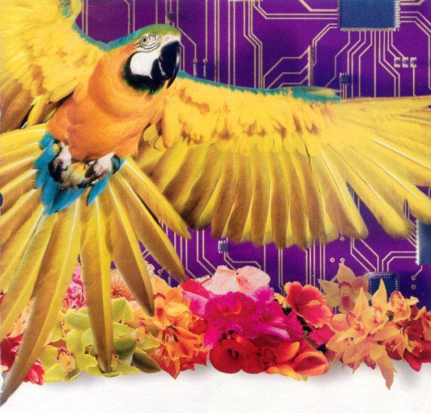 lj Parrot Processor.jpg