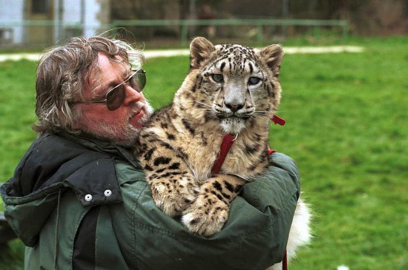 Cato13-Snow Leopard-captive.jpg