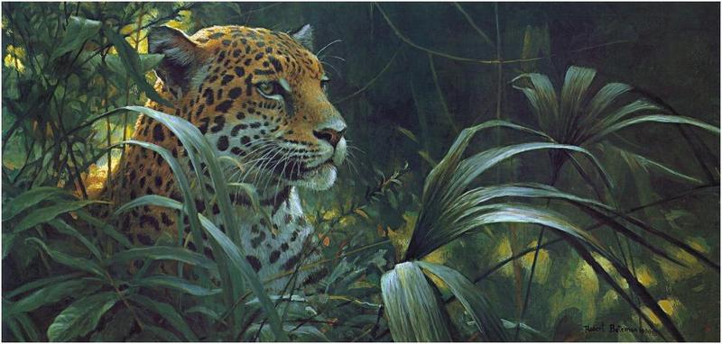 Bateman - Symbol of the Rainforest-Spotted Jaguar 1994 zw.jpg