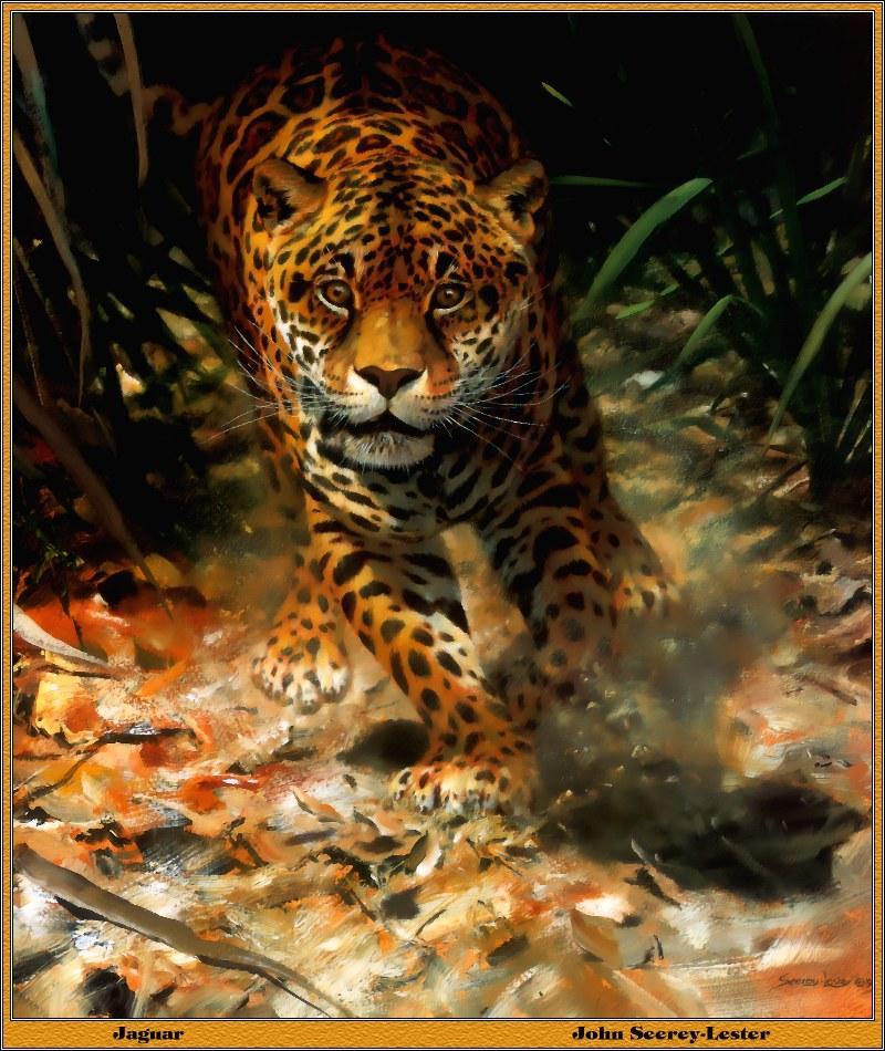 p-bwa-23-Jaguar-runs-Painting by John Seerey-Lester.jpg