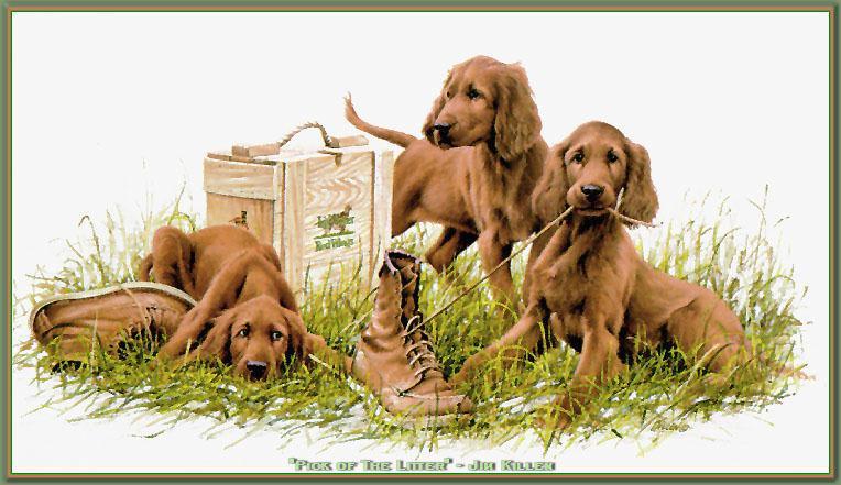 3 Brown Dogs-Hushy Puppy-WMSC-028.jpg