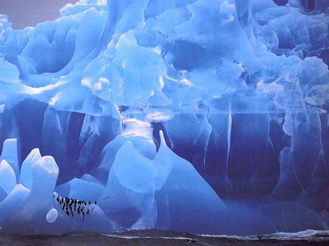 Penguins on blue iceberg.jpg