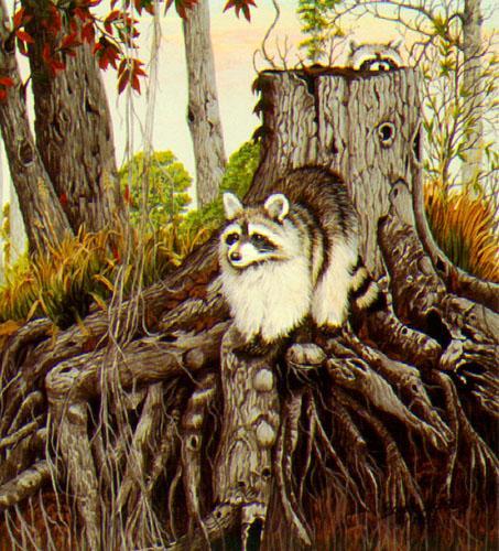 moosebe-American Raccoon-painting.jpg