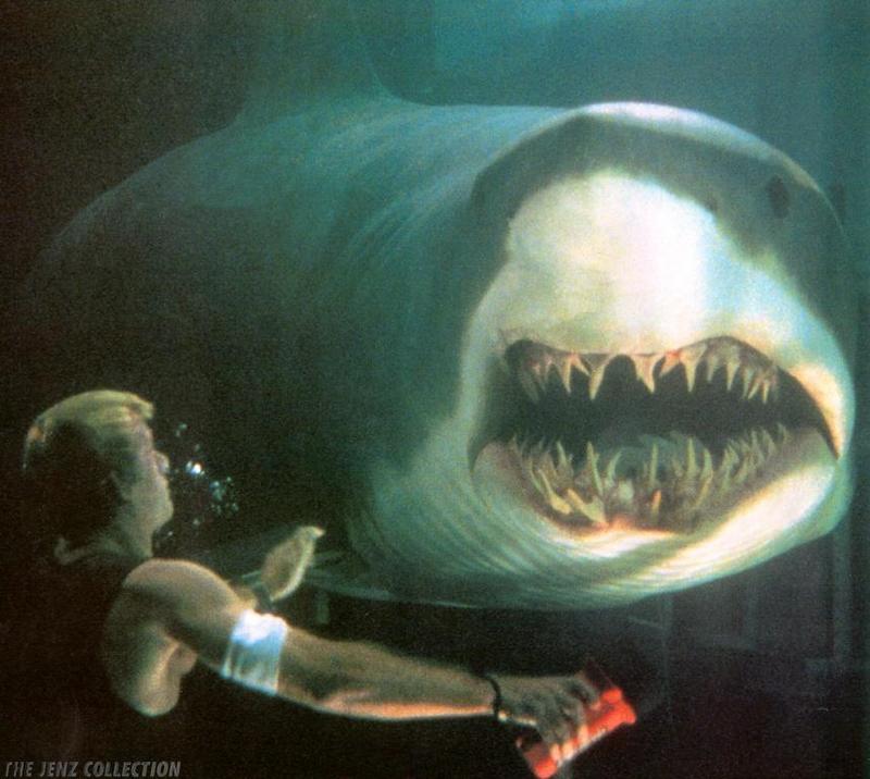 Deep-Sea 1 Great White Shark.jpg