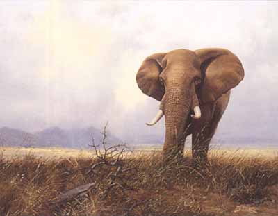 last giants-African Elephant-on plain-painting.jpg
