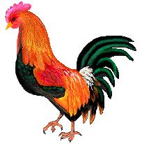 art-rooster.jpg