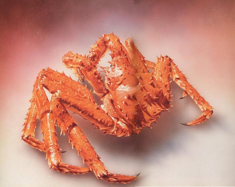 crab11.jpg