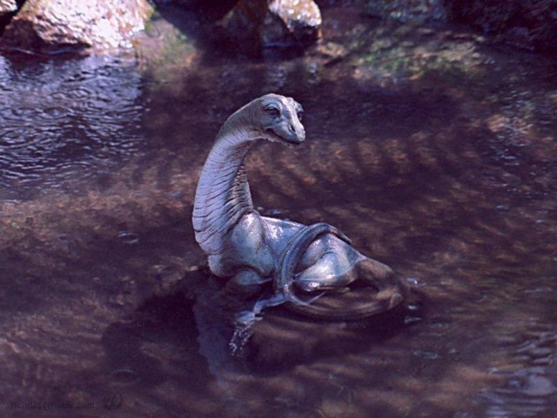 dino01l-Young Dinosaur-resting in water.jpg