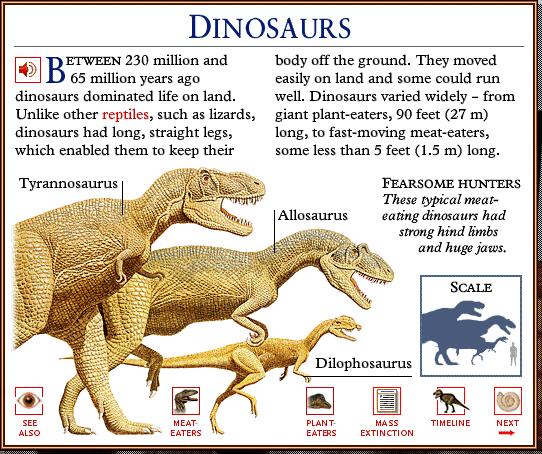 DKMMNature-Dinosaurs-Tyrannosaurus rex-Allosaurus-Dilophosaurus.gif