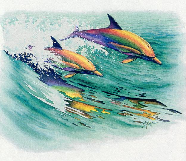 lj Tim Pinkston Rainbow Dolphins.jpg