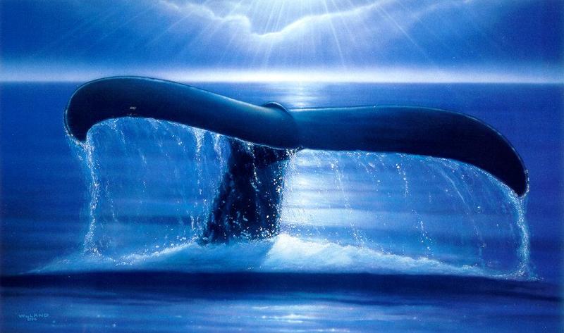 lj Robert Wyland Whale Sighting 1994.jpg