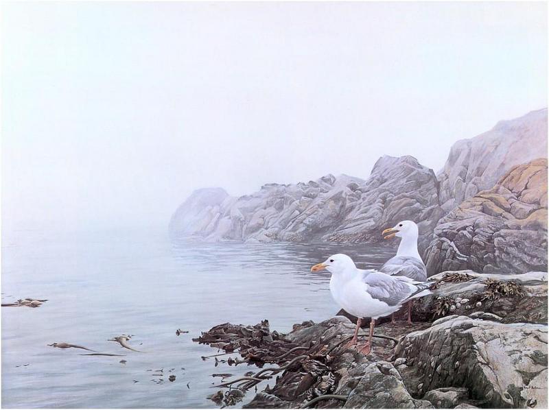 Bateman - Misty Coast 1974 zw.jpg