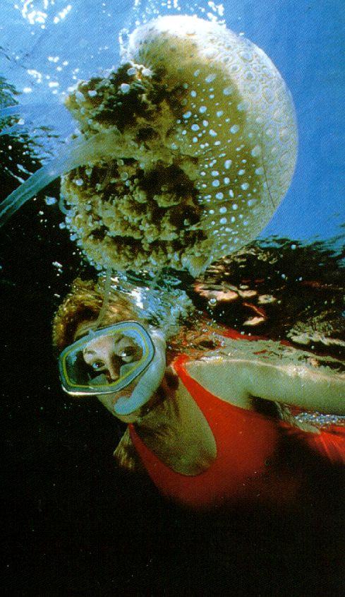 alb10037-Jellyfish-and-scuba diver girl.jpg