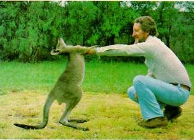 kangaroo01-Dancing with man.jpg