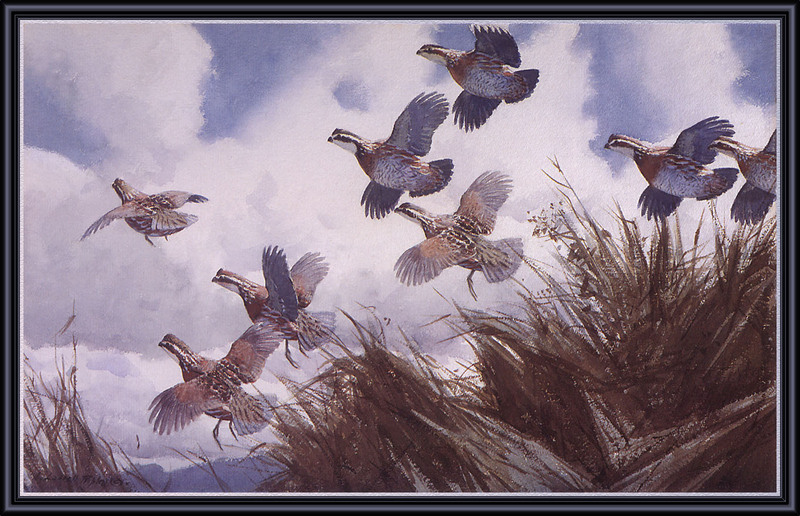 ksw-a lassell ripley 1896-1969 -covey of quail.jpg