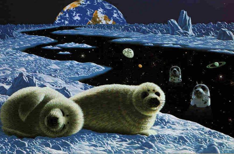 Art-SHIMMEL8-two White Seals-On Space Arc.jpg
