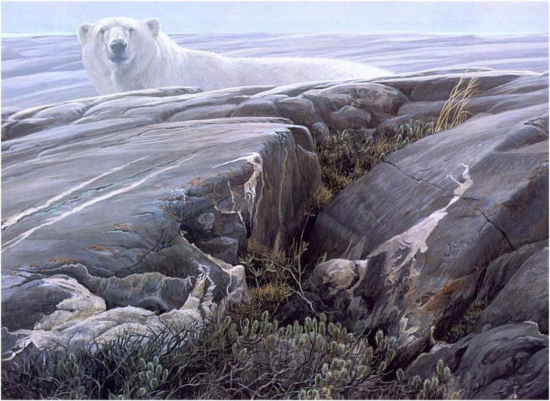 Bateman - Artic Landscape-Polar Bear 1992 zw.jpg