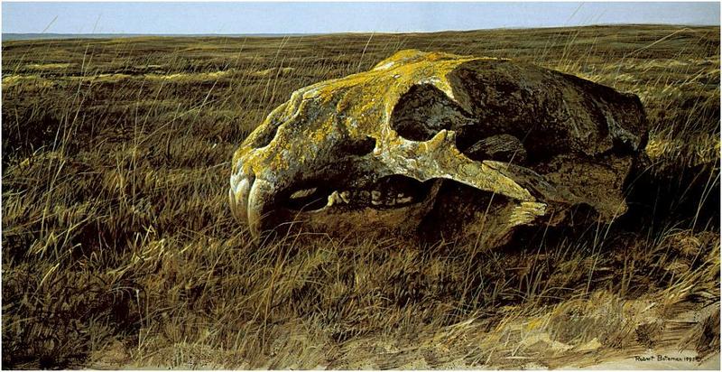Bateman - Polar Bear Skull 1991 zw.jpg