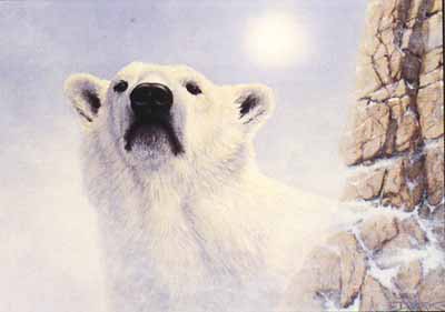 keeper north-Polar Bear-face closeup-painting.jpg