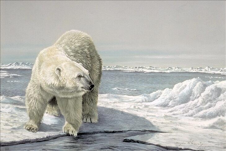 Polar Bear Corel Painting.jpg